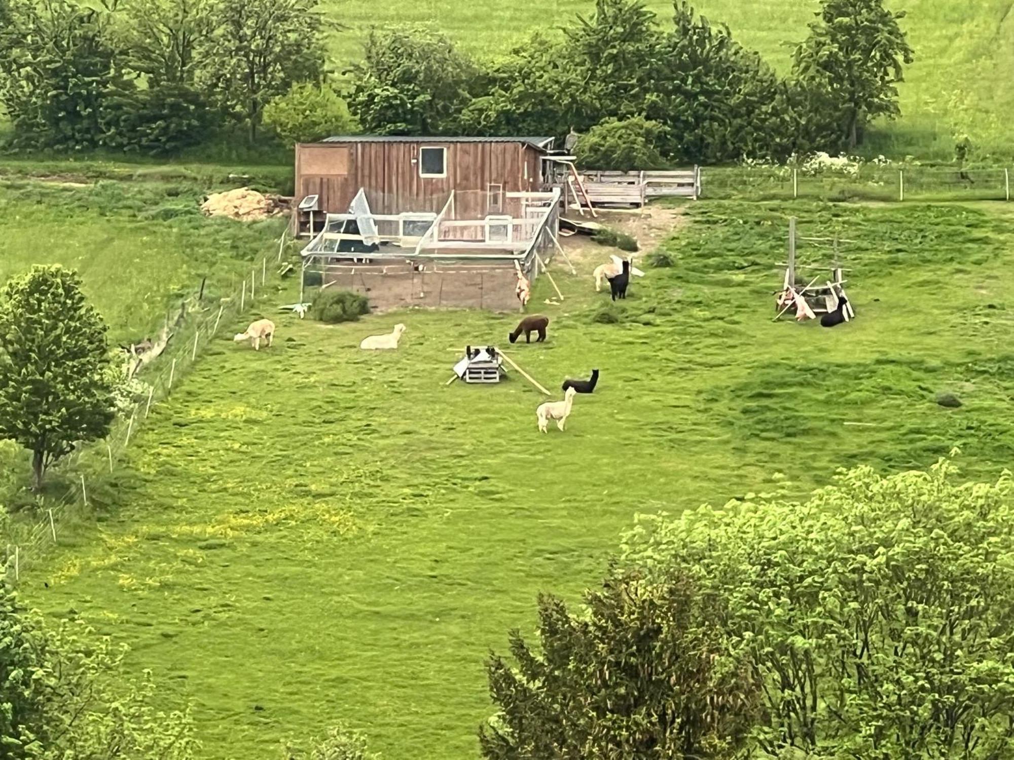 Gemuetliche 3-Zimmer-Wohnung Mit Panoramablick Und Kostenlosem Ueberdachten Parkplatz Winterberg Kültér fotó